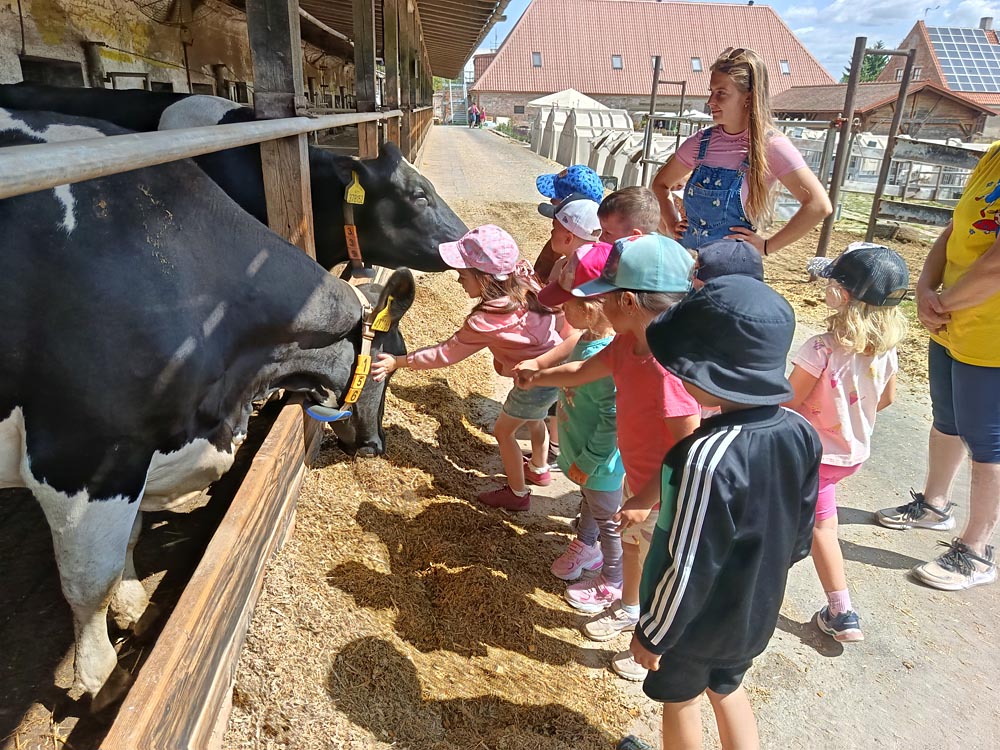 Výlet na Doubravský dvůr 2